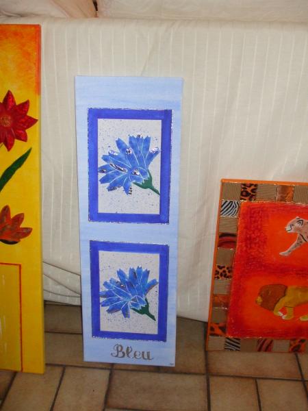 les bleuets